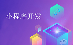 小程序開(kāi)發(fā)定制，相比非定制有何優(yōu)勢(shì)